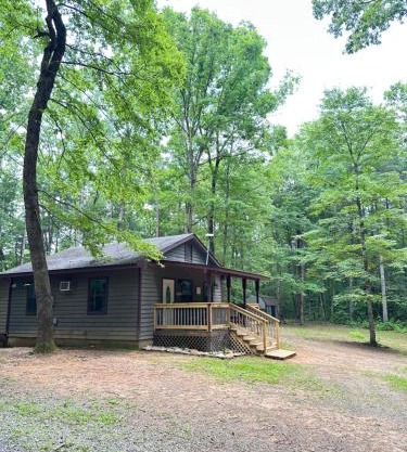 Peaceful, cozy cabin in the woods