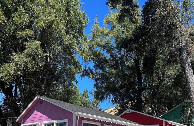 Peaceful & Cozy lakeside cottage w/ free parking