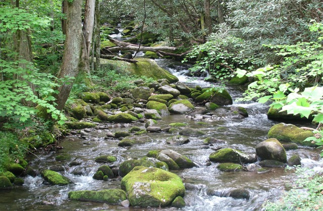 Ruhige Creekside Cabin in der Nähe von Gatlinburg / Pigeon Forge - PREISKAMPF Preise