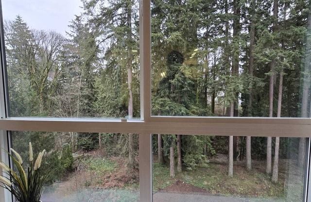 Peaceful Full Space in the City with Creek & Forest Views, Near Beach & Highways