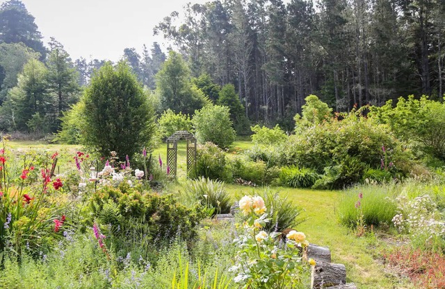 Peaceful Garden Oasis with Breakfast Provided