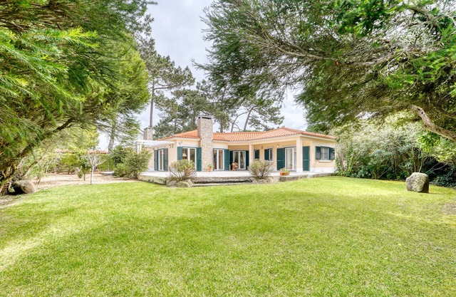 Peaceful holiday house in pine forest close to the beaches