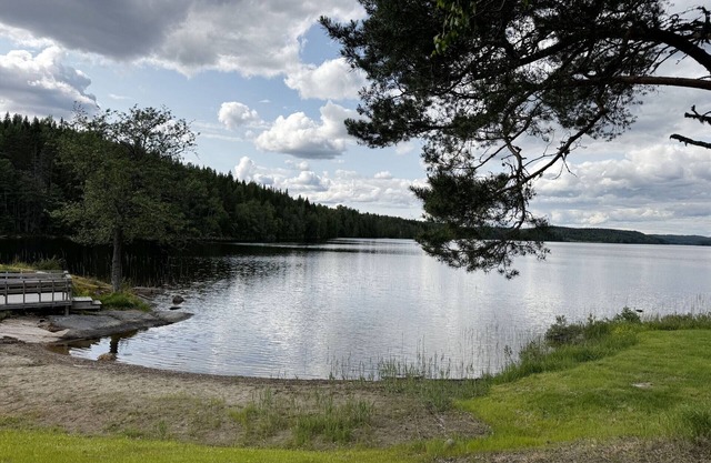Ruhiges Ferienhaus in Skillingsfors, nahe der Natur |SE18033
