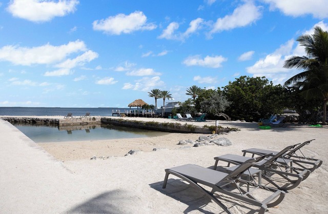 Peaceful King Stay w/ Sunset Views! Pool and Gym Access | Pet Friendly