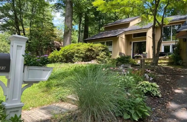 Peaceful, modern, spacious -- sleeps 11!