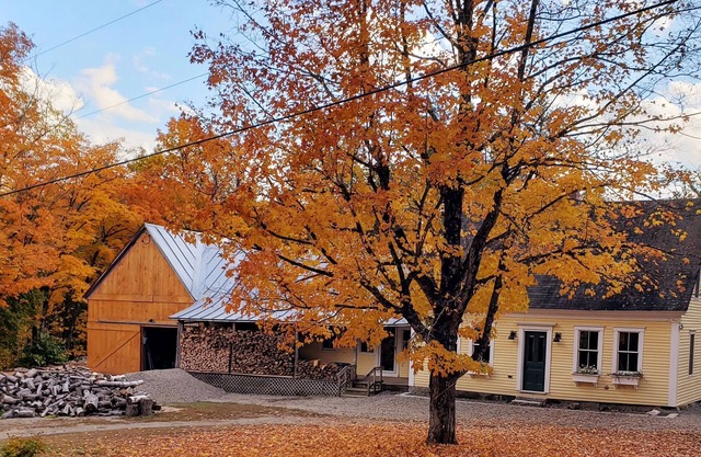 Peaceful Mountain Retreat near Saddleback
