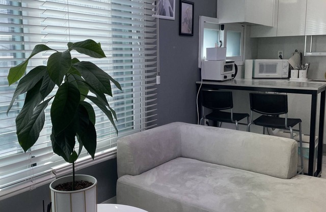 Peaceful-Neat 1 BR apt @gangnamdaechi