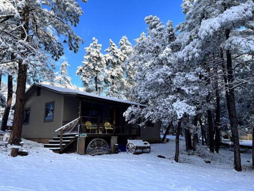 Peaceful Pine Place Cabin