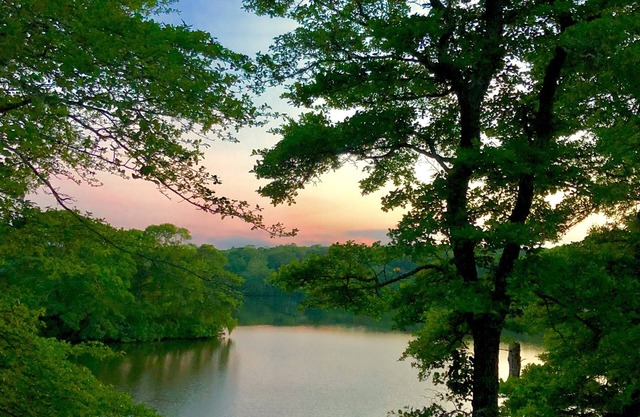 Peaceful private retreat on pond, minutes from Falmouth and Woods Hole.