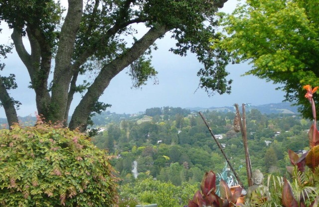 Friedliches, ruhiges, voll möbliertes Studio. Minuten nach San Francisco, Berkeley, BART
