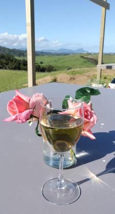 Peaceful retreat in rural Waipu countryside
