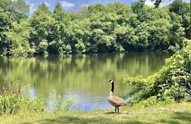Genießen Sie die ruhige Schönheit und den Zugang zum St. Joseph River🌾