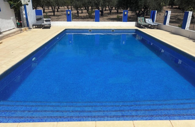 FRIEDLICHES LAND VILLA SAX ALICANTE. Umgeben von Olivenhainen und Obstbäumen.