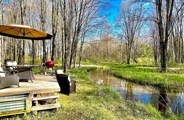 Peaceful stream side retreat in private forest