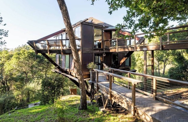 Friedliches Baumhaus mit Meerblick