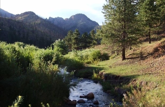 Mountain Paradise ** Haustiere mit vorheriger Genehmigung berücksichtigt ** Angeln vor Ort