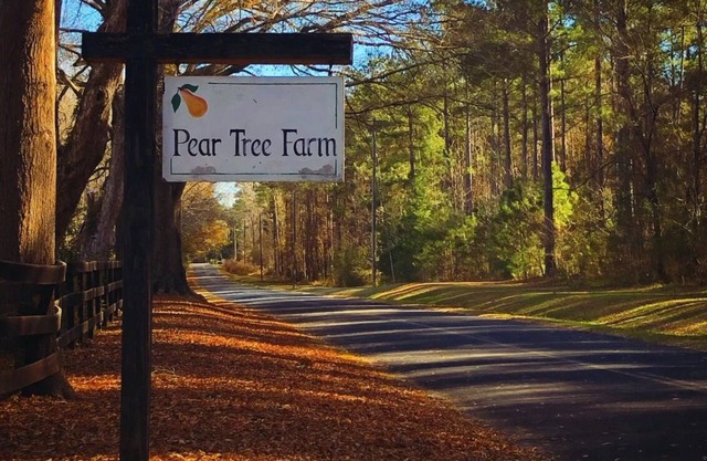 Pear Tree Farm. Peaceful, Country living at its best. 12 stables. Pet Friendly