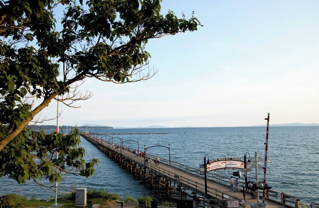 Pebbly Peak: Charming Retreat, Steps from White Rock! Pet Friendly!