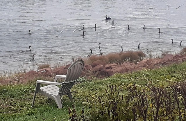 PEI Waterside Apt. #4, Quiet waterfront Apt, scenic view, sunsets