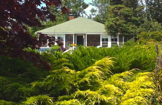Pemaquid Point Cliff Rd. 3B / 1B Cottage-Kamin-Schritte zum Leuchtturm-Haustiere-1300 / Wo