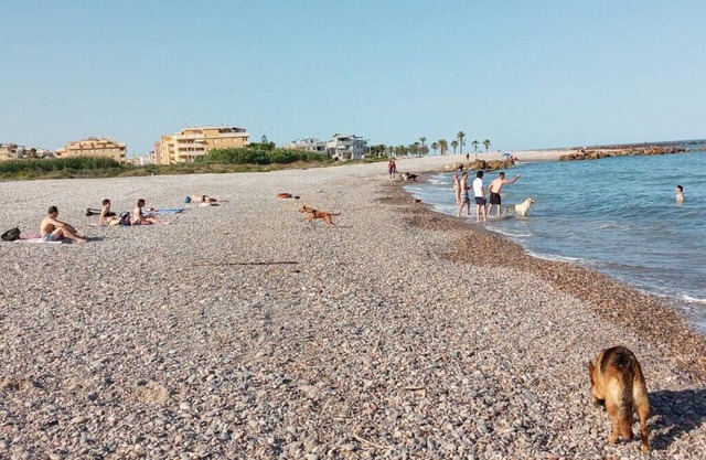 Pensión Benavente. 1 - (Playa 1,5km / AP7-3min)