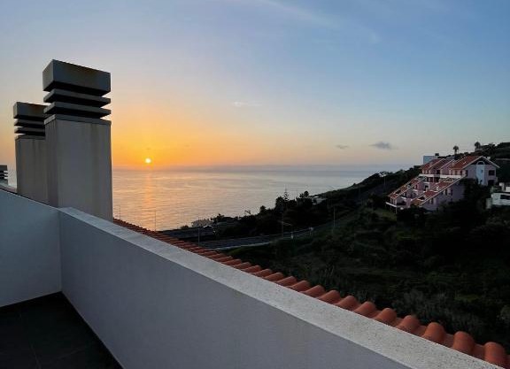 Penthouse Palmeira