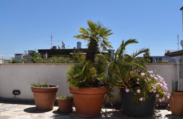 Penthouse mit Panoramaterrasse in Ostia