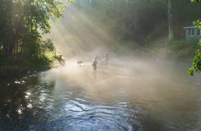 Pere Marquette Fluss 'Fliege Nur Abschnitt "6000 Feet Flussufer