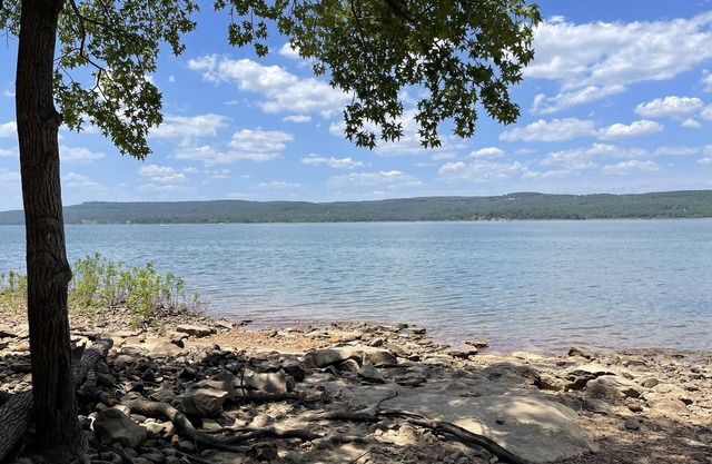 Perfect family sized lakefront home! Enjoy Greer’s Ferry lake from the backyard.