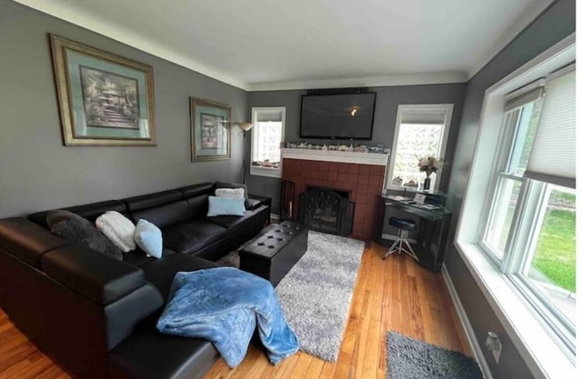 Perfect for a couple with a dog – No cleaning fee