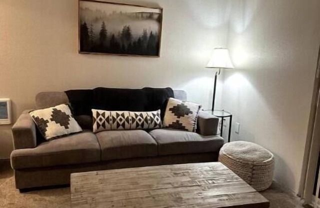 Perfect for traveling professionals! pet friendly