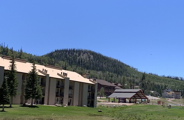 Perfect Ground Level Condo for Winter and Summer -Walking Distance to Everything