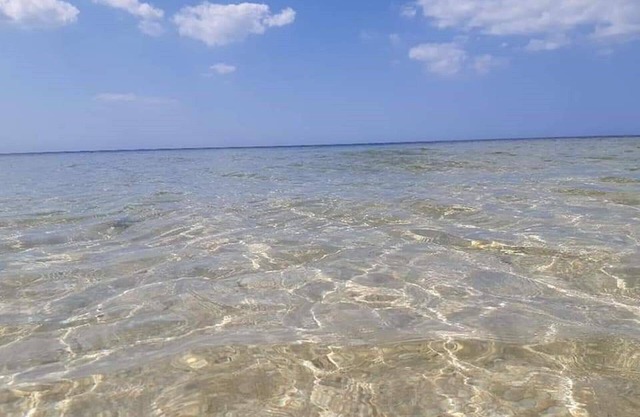 Perfect stay in Octopus 2 bedroom house 100 from the beach