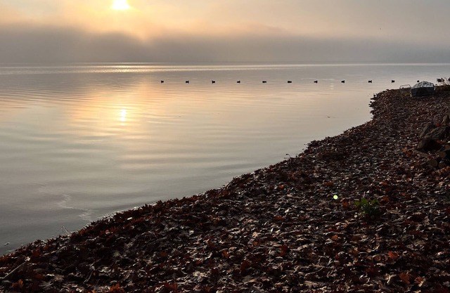 Perfect Sunrise Cottage on Honeoye Lake