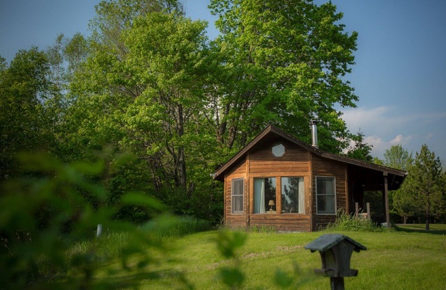 Haustierfreundliche Hütte auf den Wiesen am Waldrand mit großen Fenstern