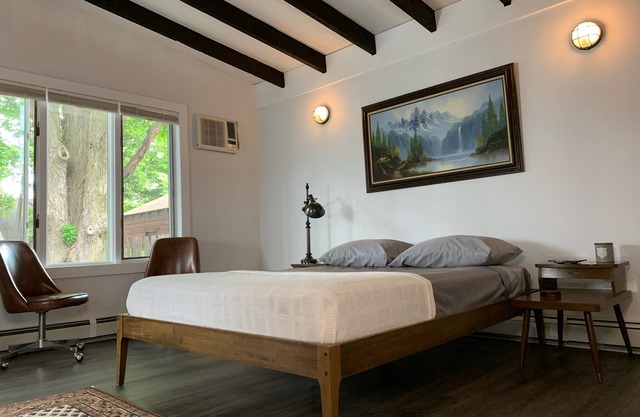 Pet Friendly 1 BR Apartment in Uptown Kingston + Huge Backyard & Full Kitchen