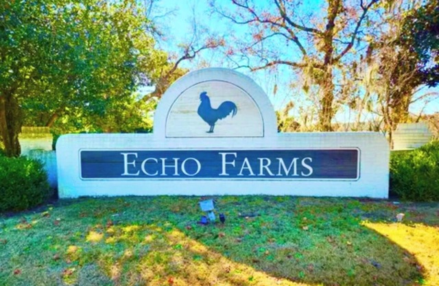 Pet-Friendly 3BR Home in Echo Farms, Pool, Tennis, Lake, Near Hospital + Shops