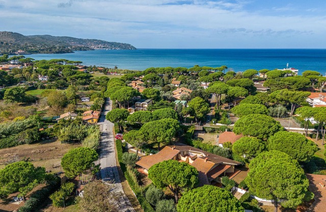 Cormorano 2