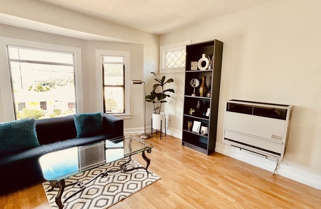 Pet- Friendly, apartment in Oakland