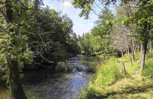 Haustierfreundlich, Betsie River Retreat - 10 Personen - Ski, Fisch und mehr!