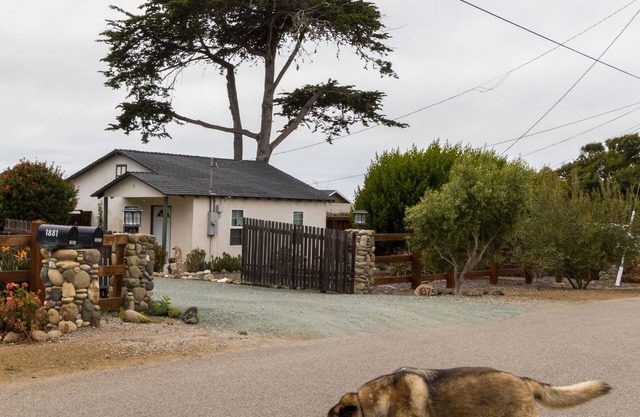 Pet Friendly Cottage / Hunde sind willkommen