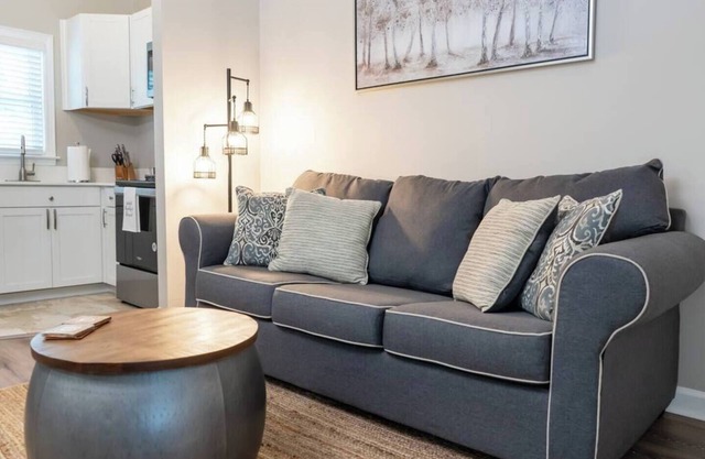 Pet-Friendly Cozy Studio | Near Downtown