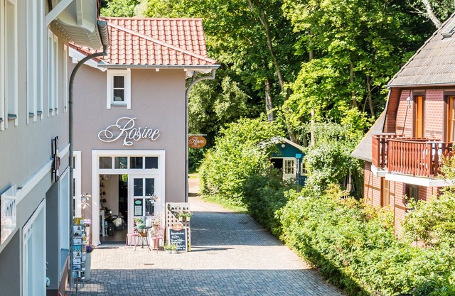 Haustierfreundlich in Strandnähe