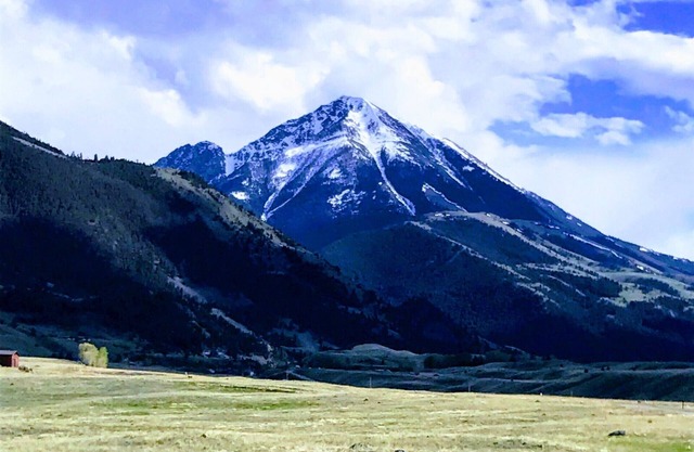 Pet friendly Emigrant Peak Cabin 5 Minuten von Chico Hot Springs!