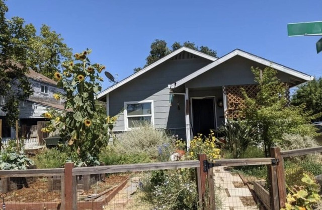Pet-Friendly Garden Oasis