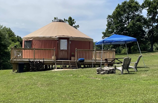 Pet friendly glamping in a private yurt with stunning 360° views by Forest