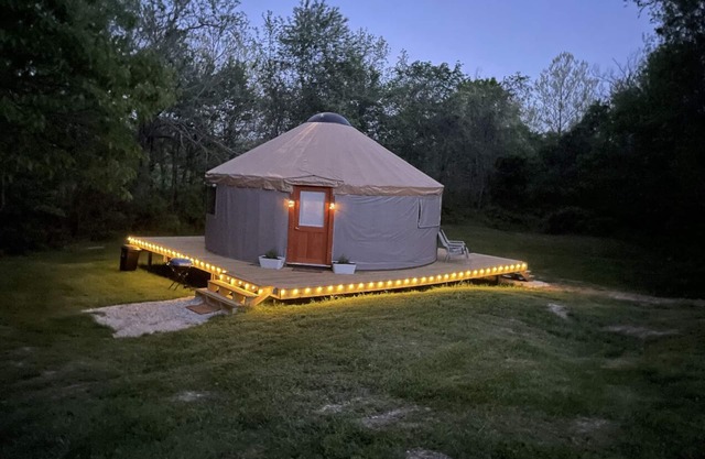 Pet friendly glamping in a private yurt with stunning 360° views by Forest