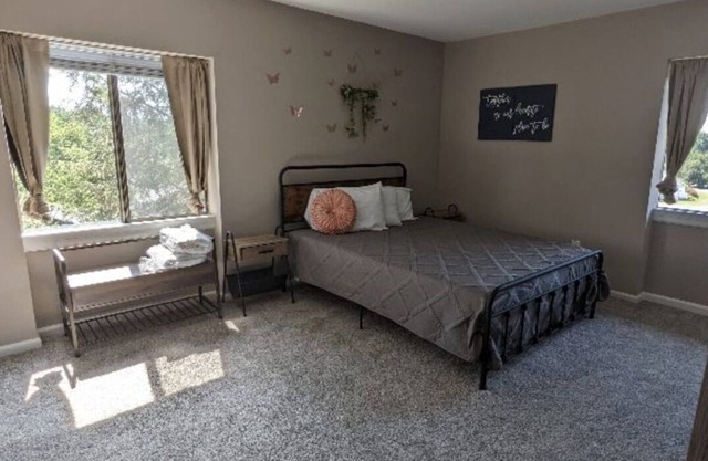 Pet Friendly in Charlottesville! UVA Medical Trauma Center School Wineries Parks