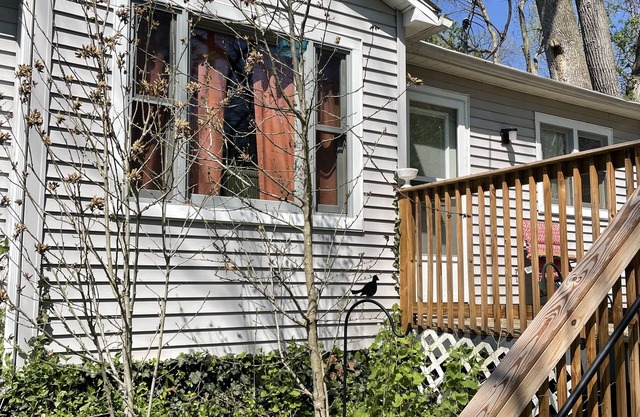 Pet friendly Nature Cottage: deck, trails, fire pit, creek, & historic district