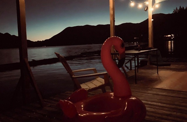 Pet-Friendly Sproat Lake Suite | Private Dock, Paddleboard/Kayaks, Firepit